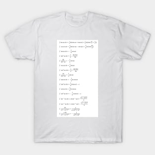 Indefinite Integral T-Shirt